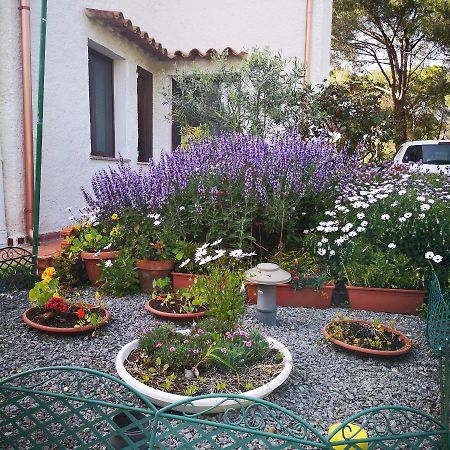 Villa Manuela Pula Exterior foto